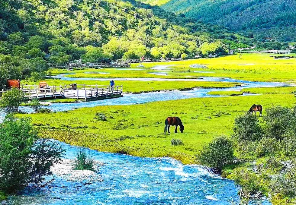 Đạo Thành Á Đinh 3